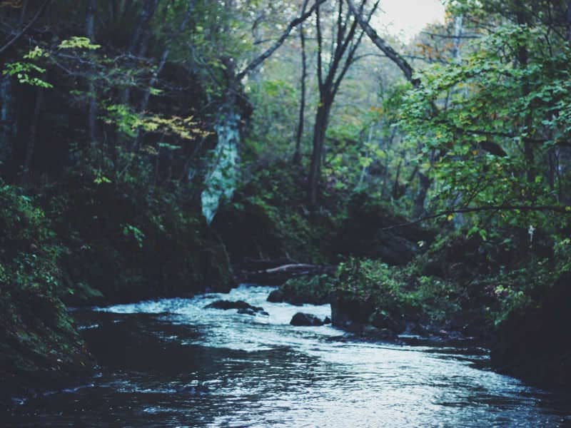 Historical City Tours